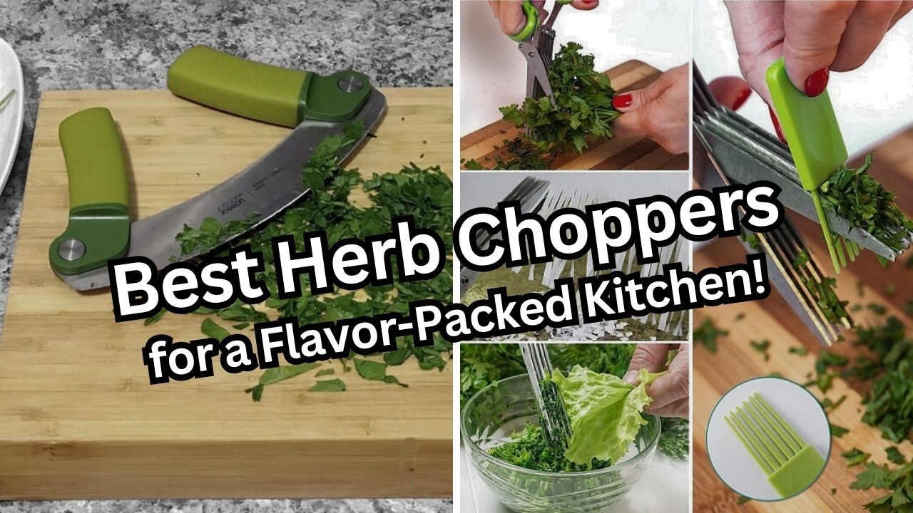 Chop It Up A Roundup of the Best 6 Herb Chopper Products for a Flavor