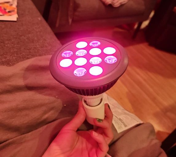 Reviewing 4 Red Light Therapy Bulbs For Ultimate Wellness: Get Ready to Glow!
