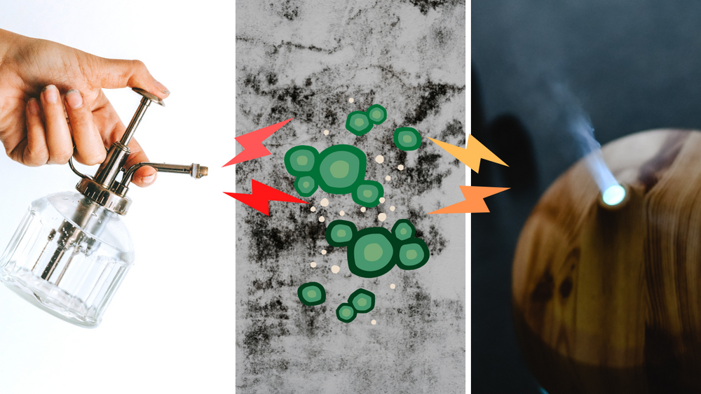 essential oils for mold. Images by Teona Swift (left, Pexels.com), Canva (center), and Eva Bronzini (rght, pexels.com)