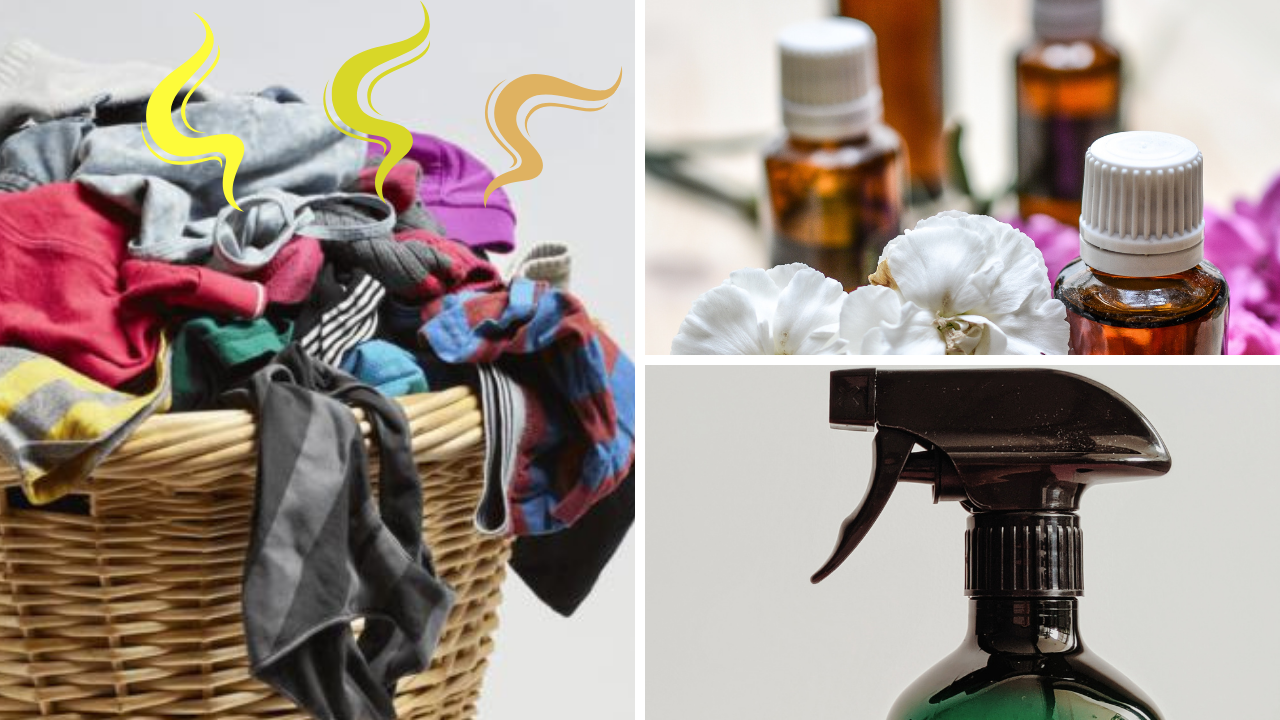 essential oils for odor elimination