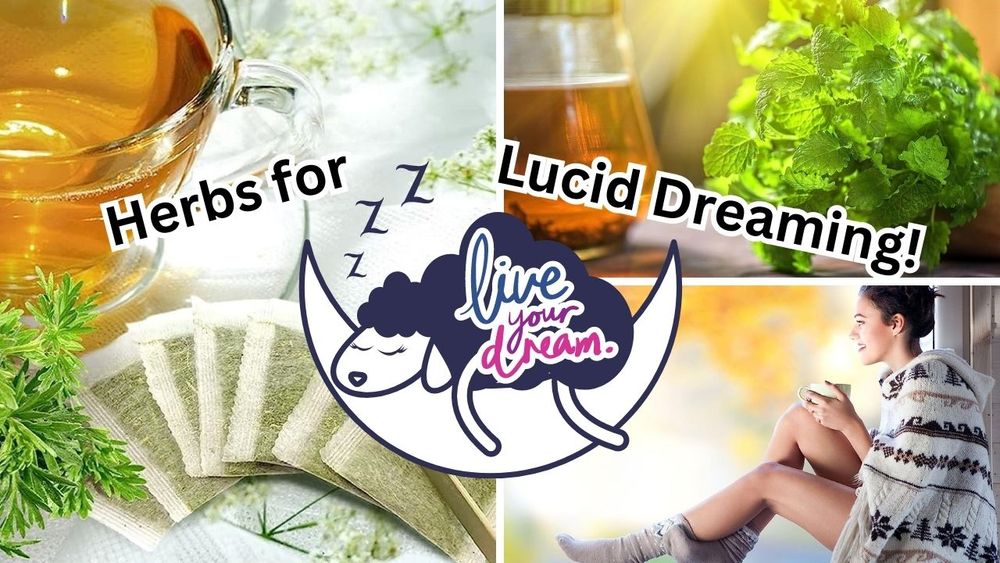 herbs for lucid dreaming