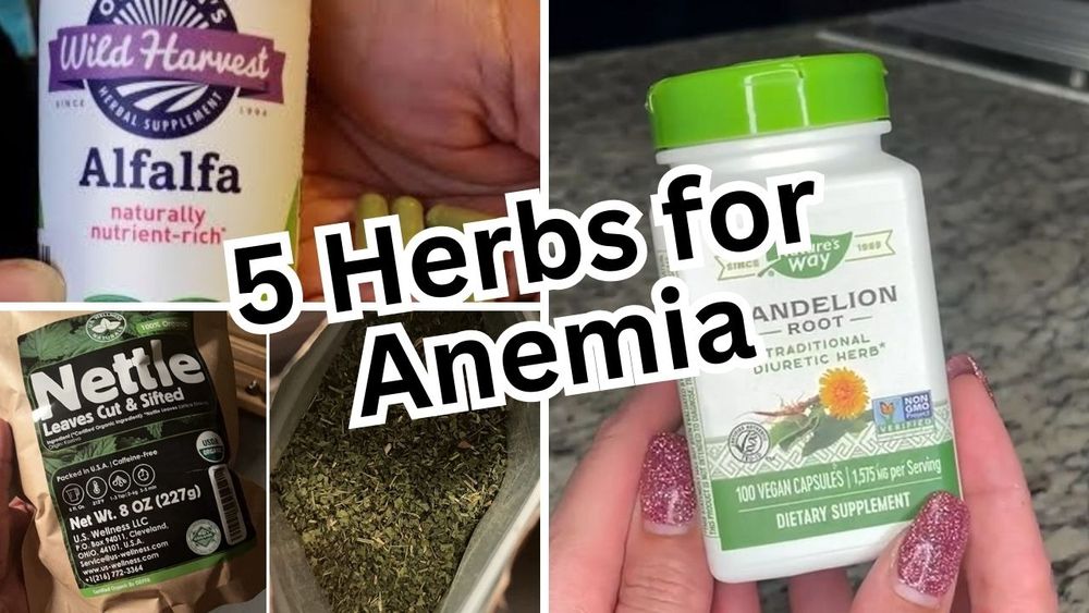 herbs-for-anemia