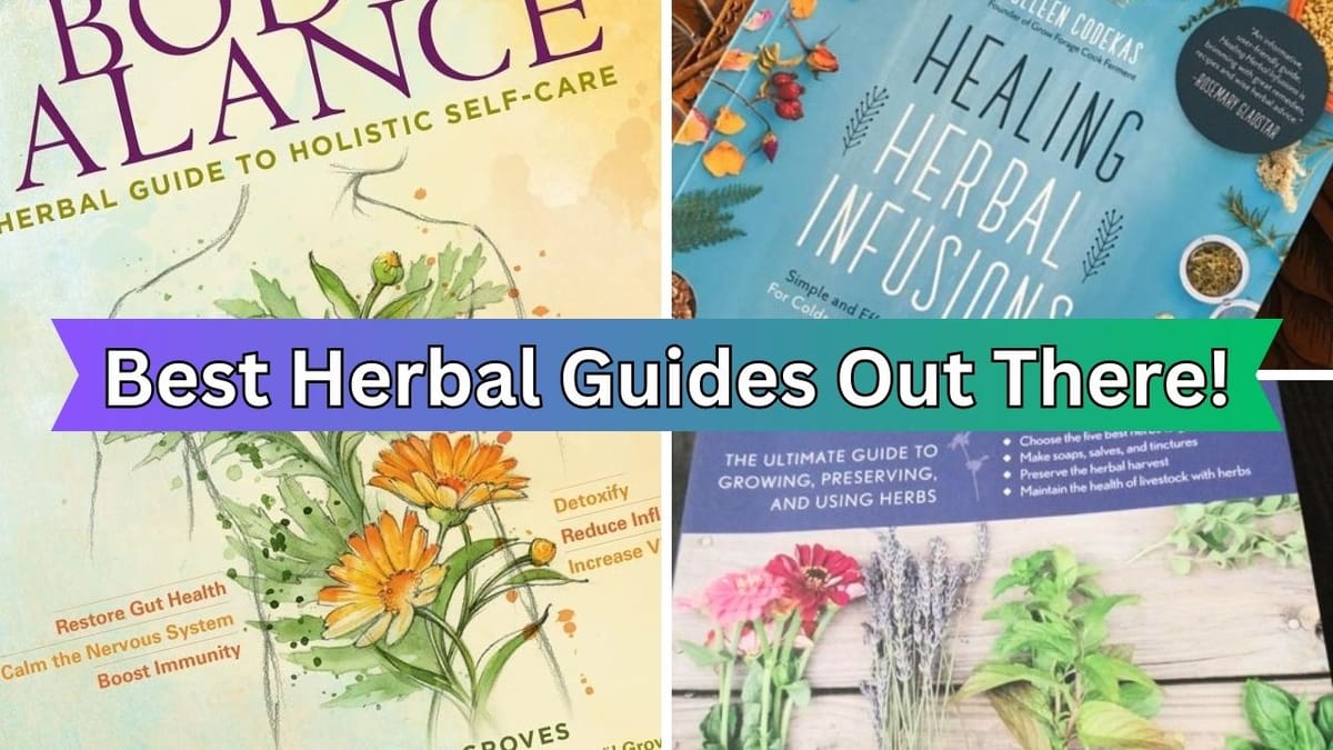 Herb Book Roundup Discovering The Top 6 Best Herbal Guides Out There!