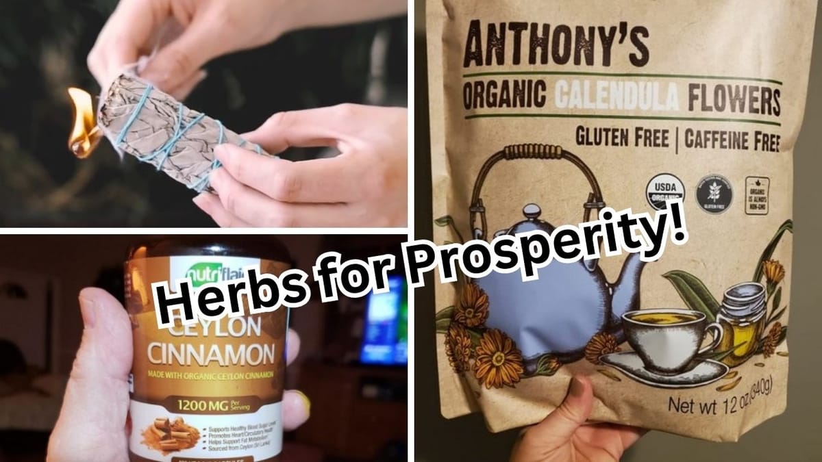 Unlock Your Fortune Reviewing 5 Herbs for Prosperity!