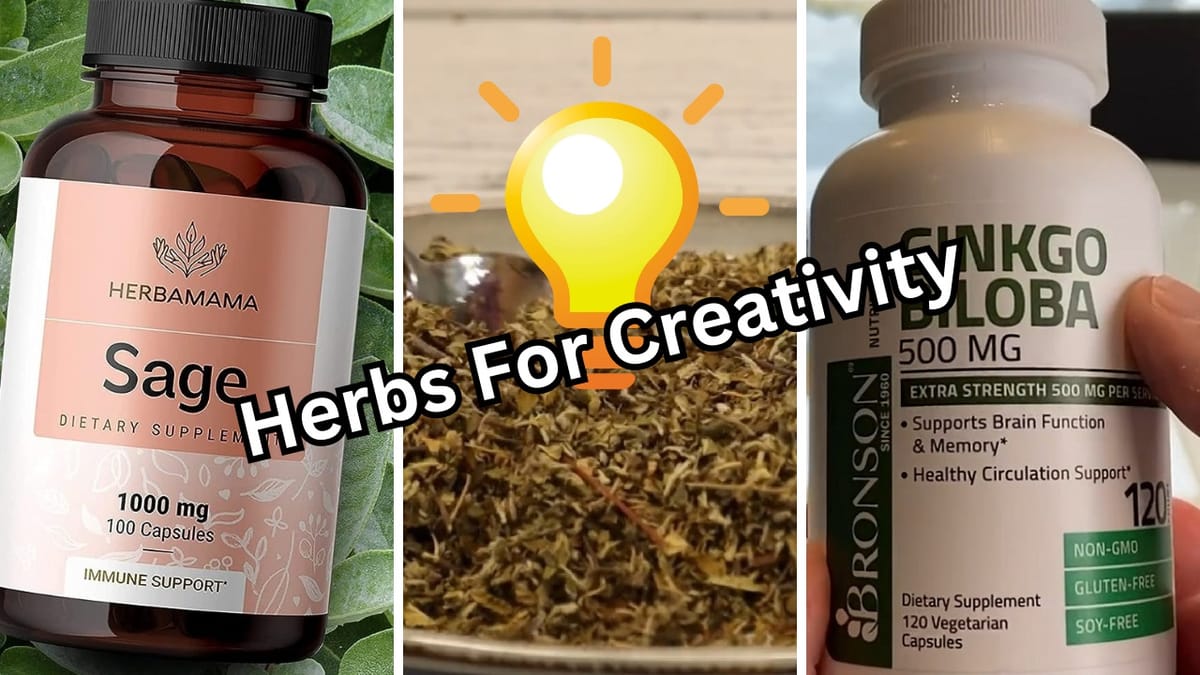 Herbal Alchemy Unlock Your Creative Potential With These 5 Herbs For