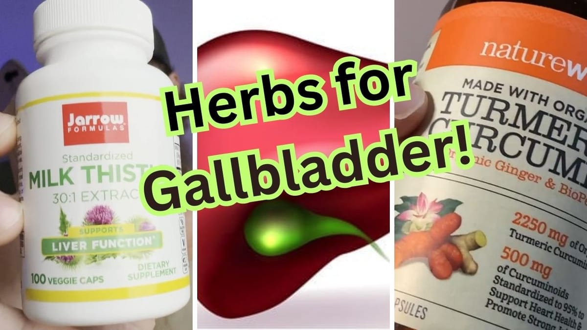Herbal Adventure Reviewing 5 Herbs For Gallbladder Health
