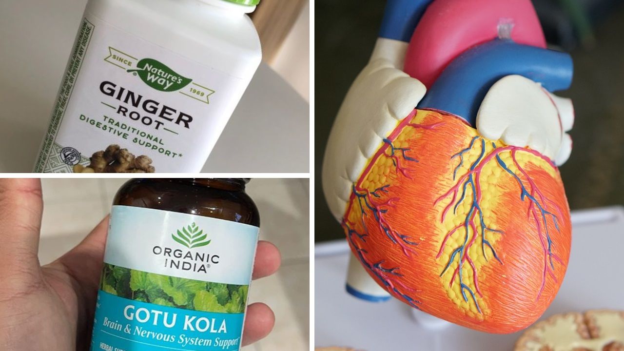 5 Herbs For Circulation What's the Buzz About These Natural Remedies?