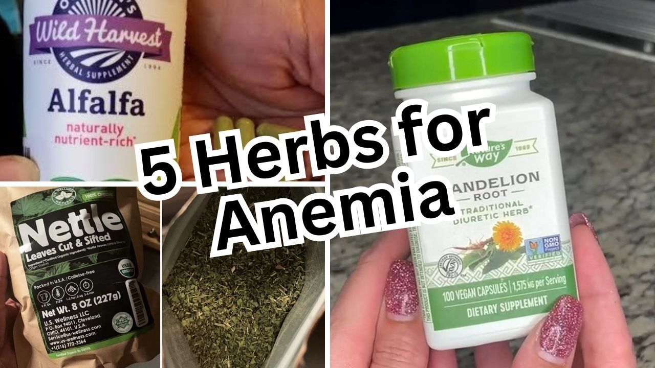 HerbUp 5 Herbs for Anemia That Will Get Your Energy Levels Soaring!