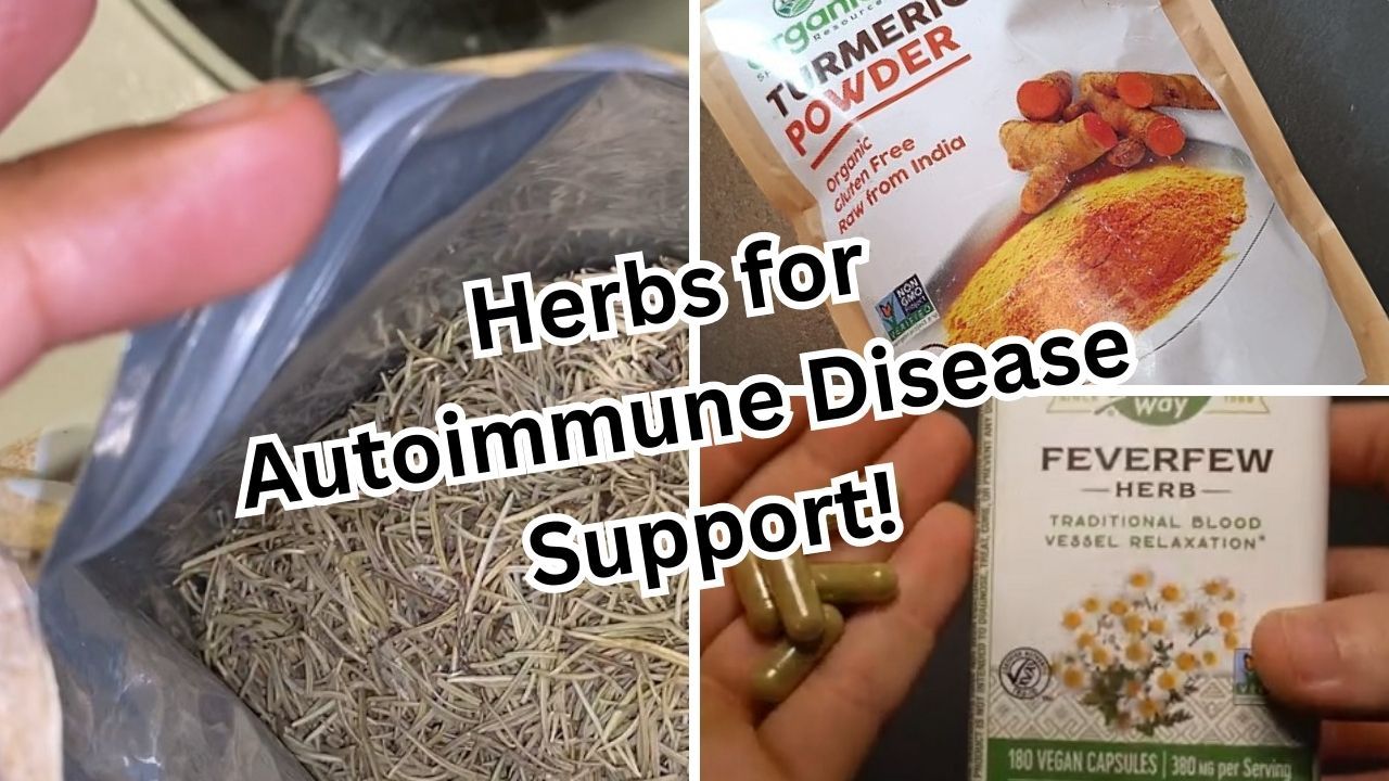Herbal Relief Reviewing 5 Herbs for Autoimmune Disease Support!