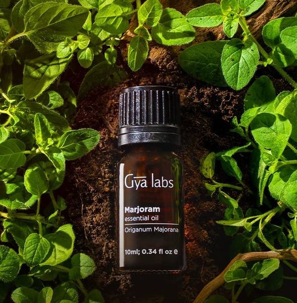 6 Essential Oils for Teething A Parent's Guide to Soothing Babies' Gums